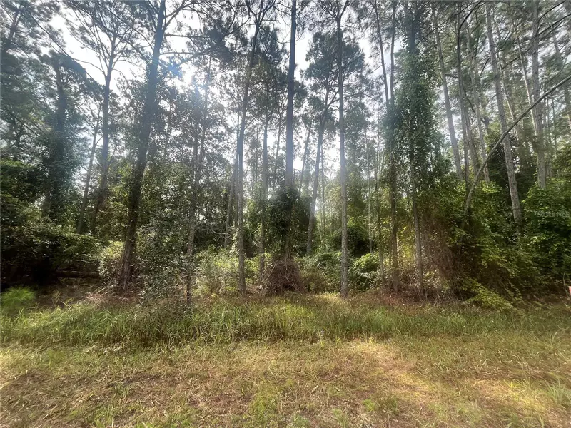 107 PINE AVE, Georgetown, FL 32139