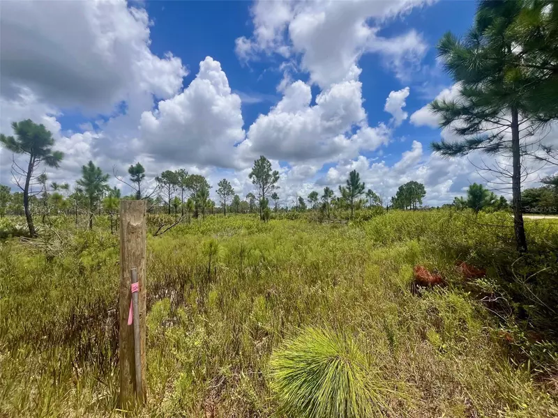15827 NW 272ND ST, Okeechobee, FL 34972