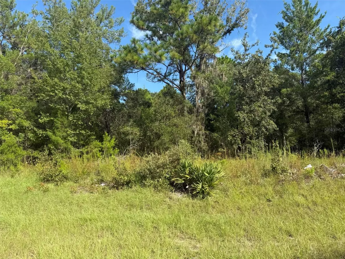 Dunnellon, FL 34432,79TH TERRACE RD