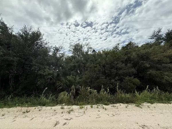 Okeechobee, FL 34972,17532 NW 320TH ST
