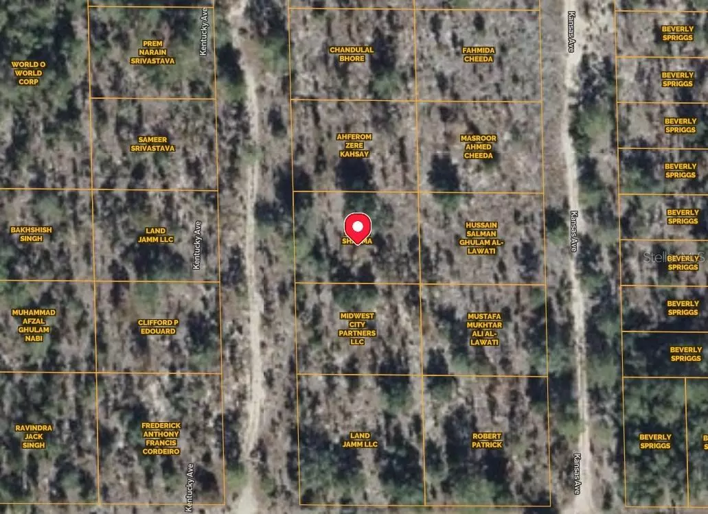 Hawthorne, FL 32640,KENTUCKY