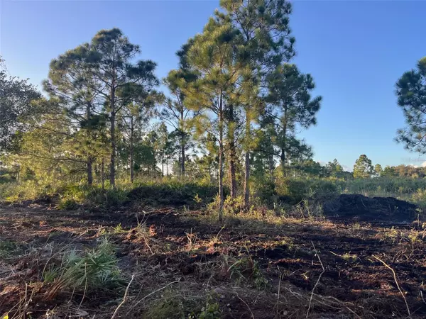 15417 NW 310TH ST, Okeechobee, FL 34972