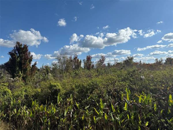 19624 NW 244TH ST, Okeechobee, FL 34972