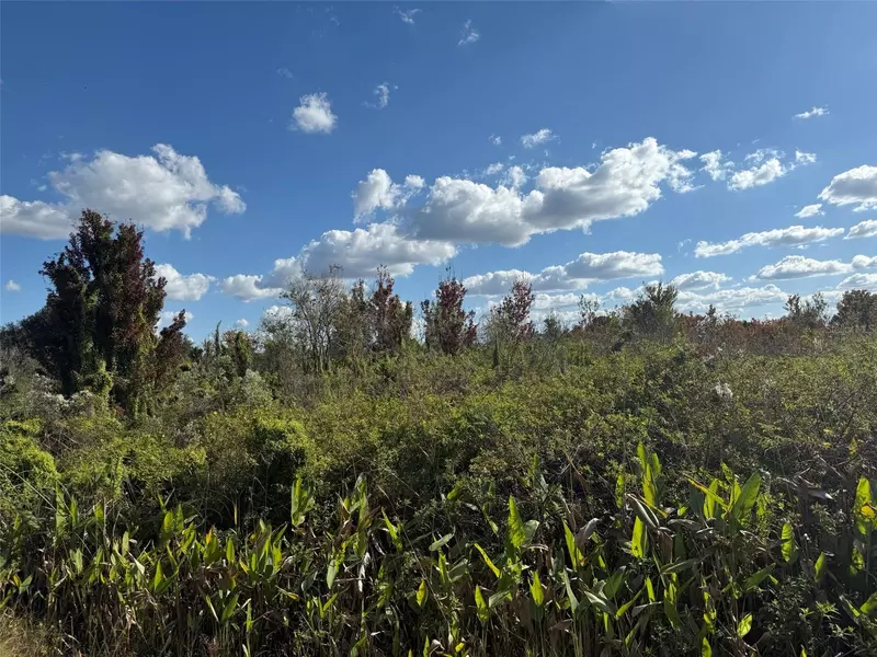 19624 NW 244TH ST, Okeechobee, FL 34972