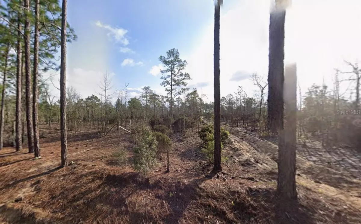 Interlachen, FL 32148,TULIP AVE