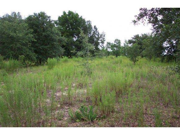 6185 W Peter LN, Dunnellon, FL 34433