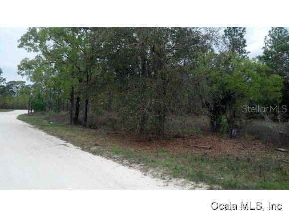 00 NE 40 ST, Williston, FL 32696