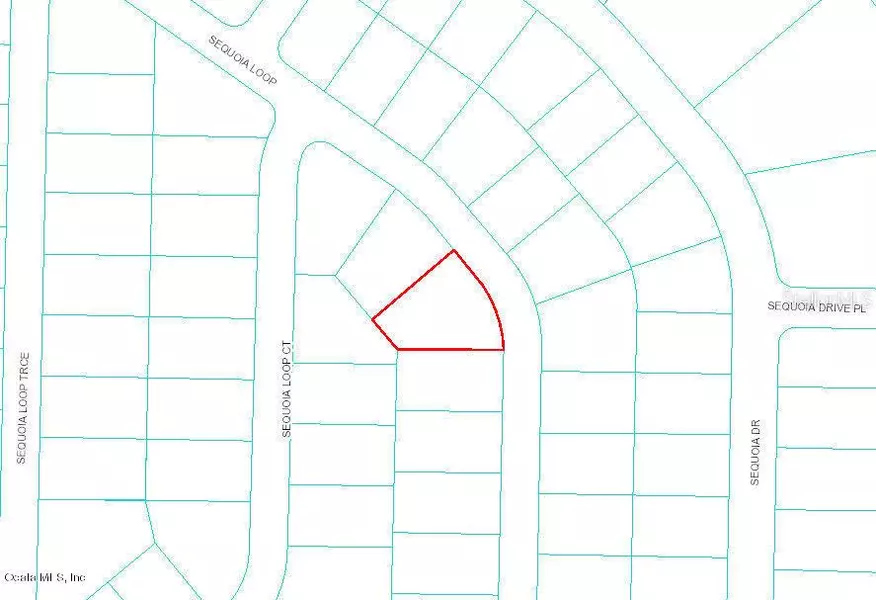 0 Sequoia LOOP, Ocklawaha, FL 32179