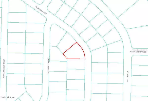 0 Sequoia LOOP, Ocklawaha, FL 32179