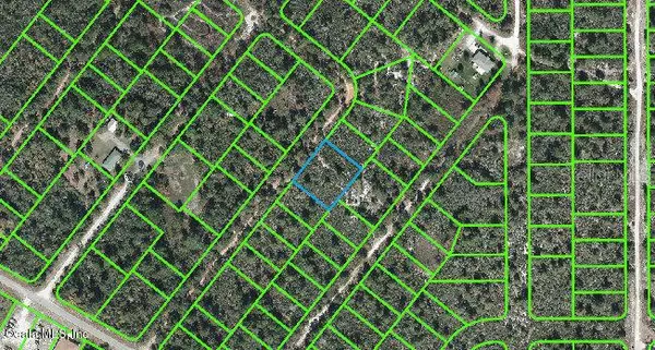 Lake Placid, FL 33852,125 DRUMMOND AVE
