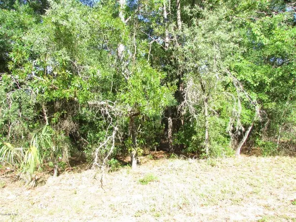 000 SW 205 CIR, Dunnellon, FL 34431