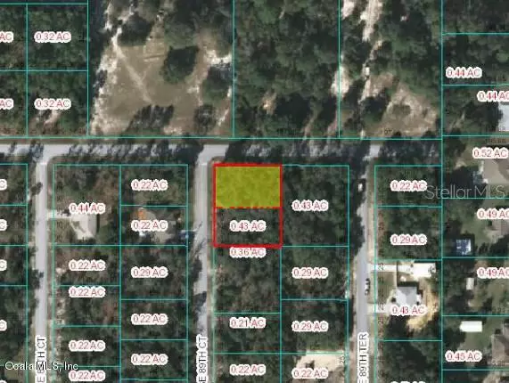 Summerfield, FL 34491,TBD SE 162nd PL