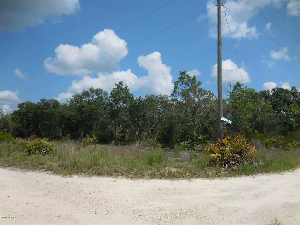 Bronson, FL 32621,0 NE 81 Street & NE 125 Ave