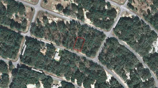 00 FISHER WAY TRL, Ocklawaha, FL 32179
