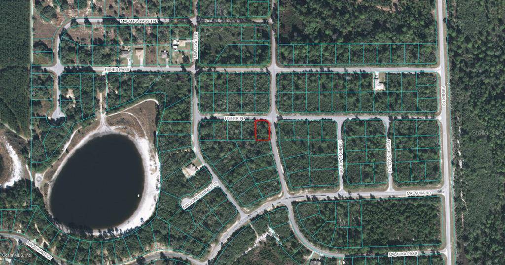 00 FISHER PL, Ocklawaha, FL 32179