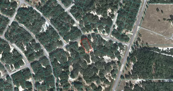 Ocklawaha, FL 32179,00 FISHER WAY TRCE