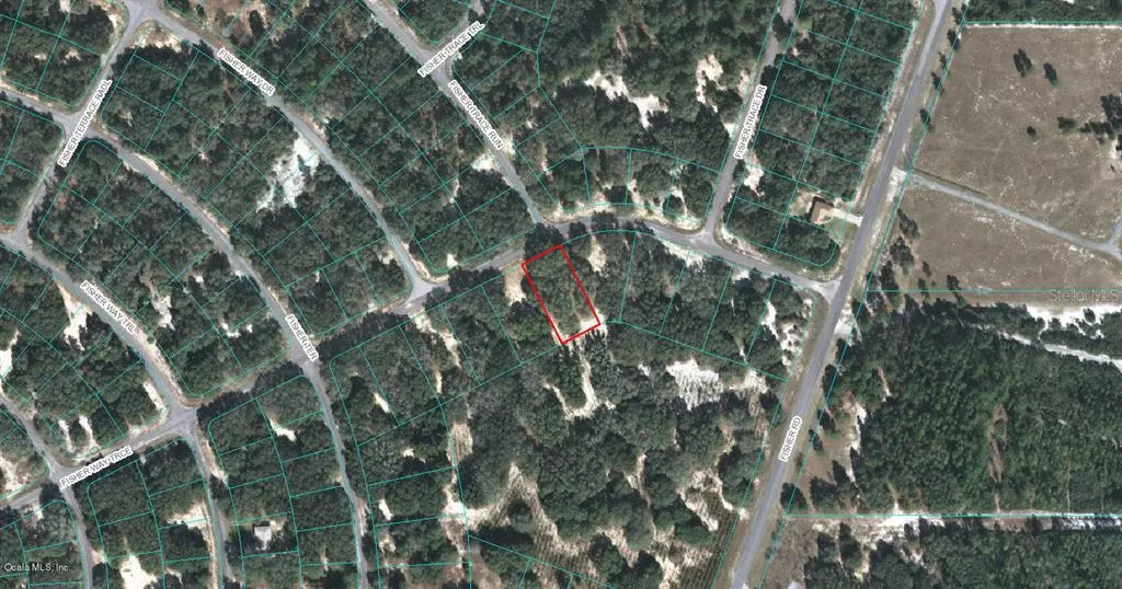 00 FISHER WAY TRCE, Ocklawaha, FL 32179