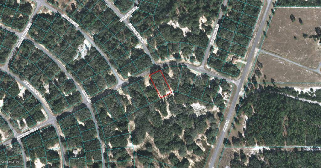 00 FISHER WAY TRCE, Ocklawaha, FL 32179