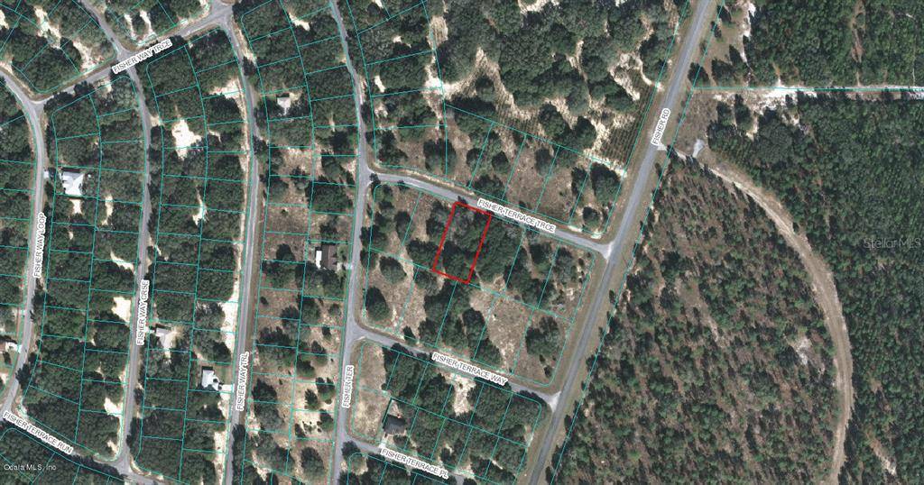 00 FISHER TERRACE TRCE, Ocklawaha, FL 32179