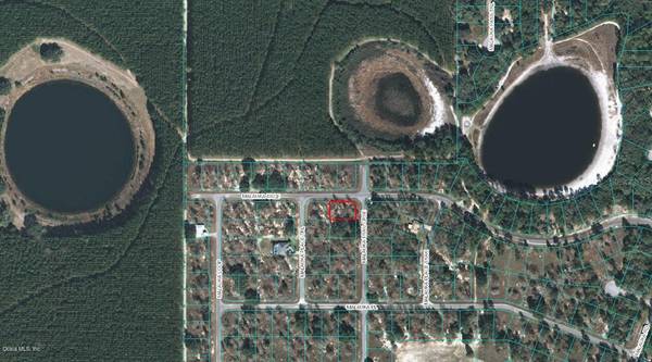 00 MALAUKA TRAIL CRSE, Ocklawaha, FL 32179