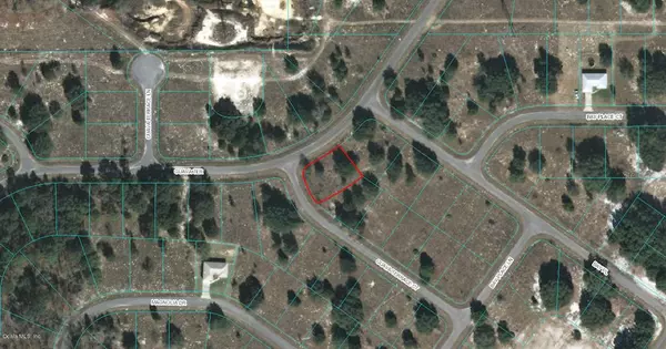 00 GUAVA TERRACE CT, Ocklawaha, FL 32179