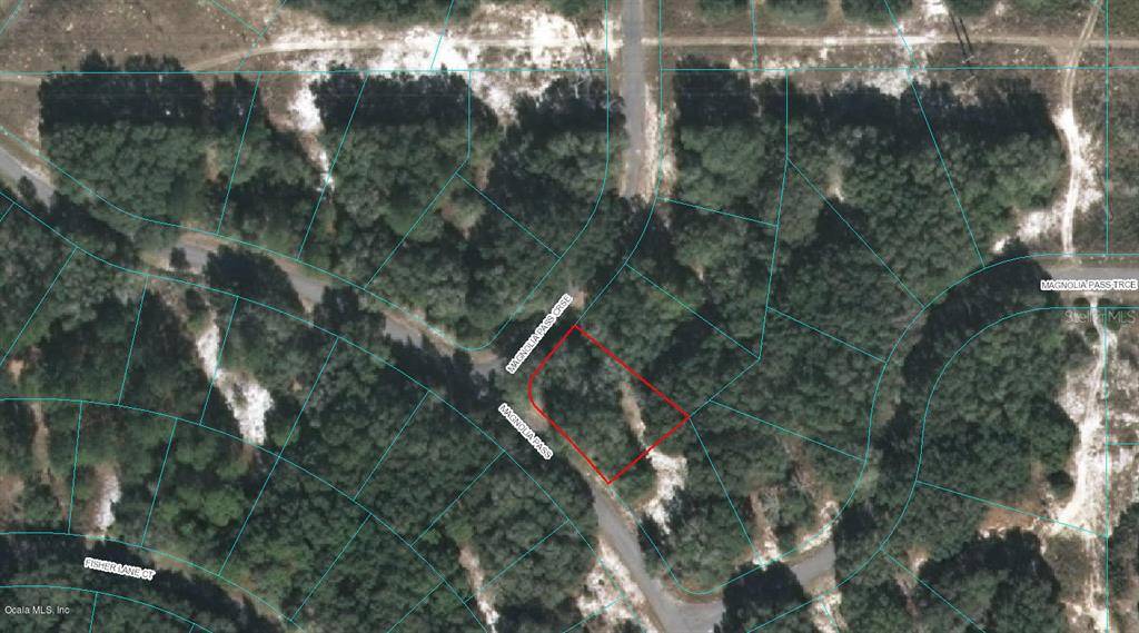 00 MAGNOLIA PASS CRSE, Ocklawaha, FL 32179