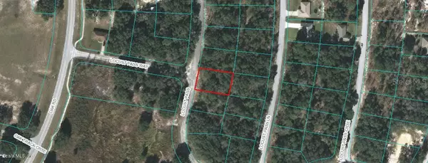 00 LOCUST PASS, Ocala, FL 34472