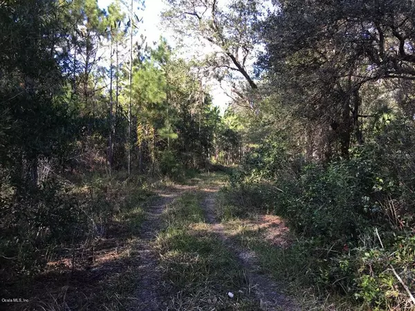 Otter Creek, FL 32683,TBD SW State Road 24 PL