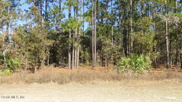 Lot 2 SW 73rd ST, Dunnellon, FL 34431