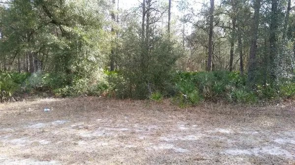 7280 Treiman BLVD #7, Webster, FL 33597