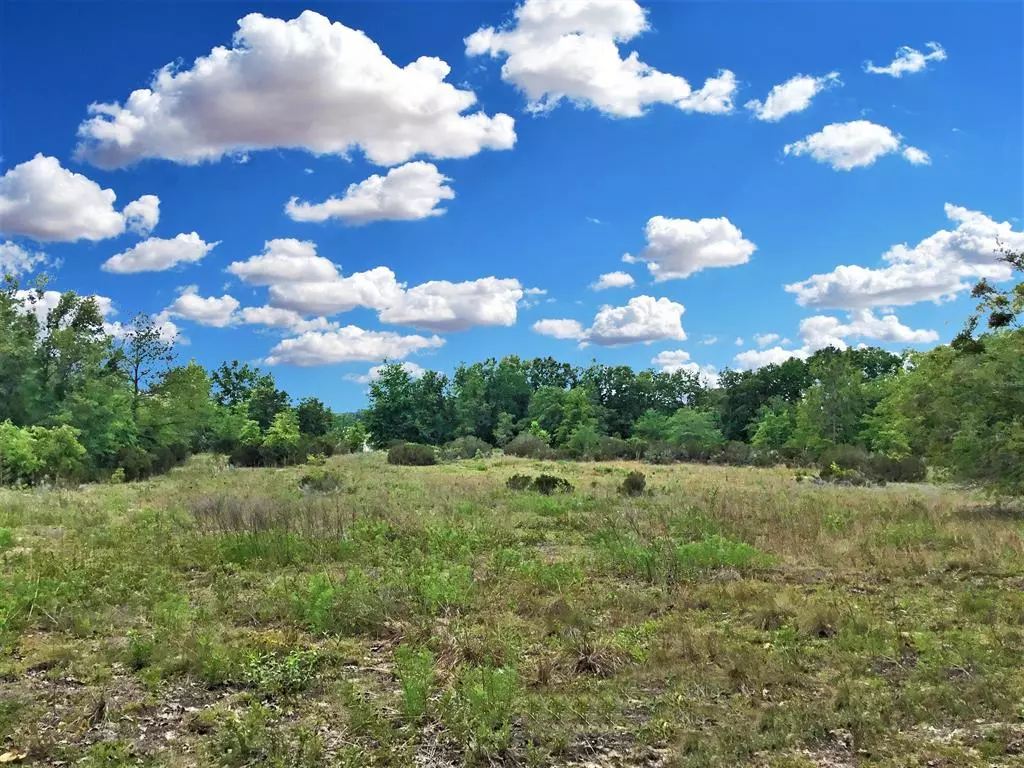 Bronson, FL 32621,TBD NE 106TH ST