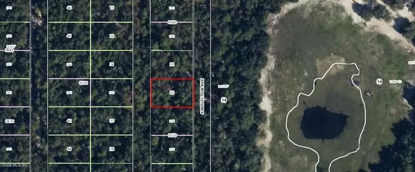 3875 S Killdeer AVE, Inverness, FL 34450