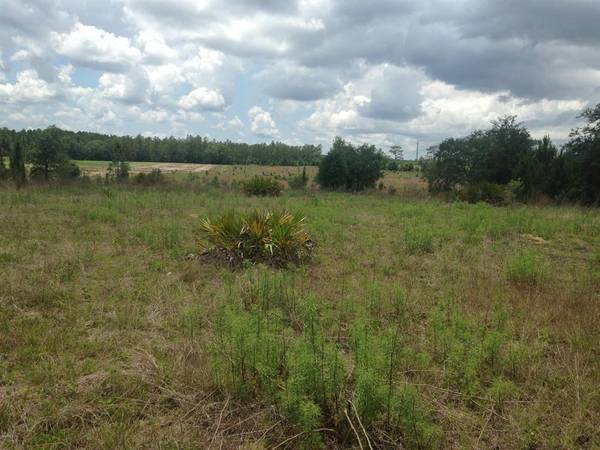 00 SW 66 LOOP, Dunnellon, FL 34432