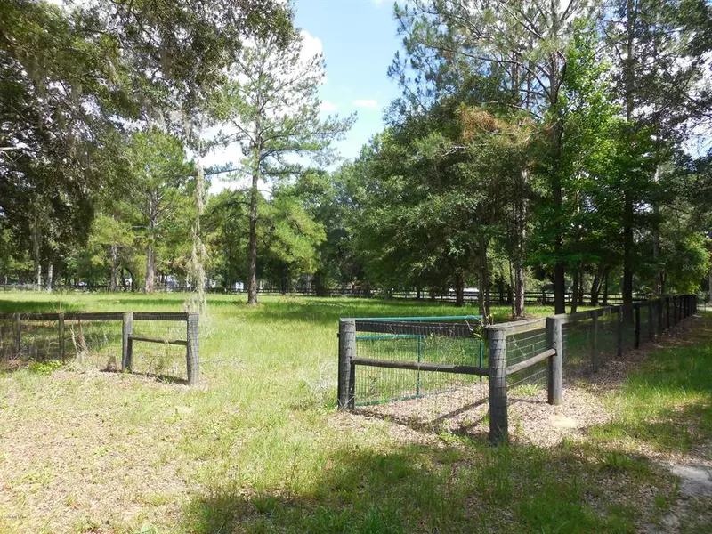 0 NE HWY 241/CR 343, Williston, FL 32696