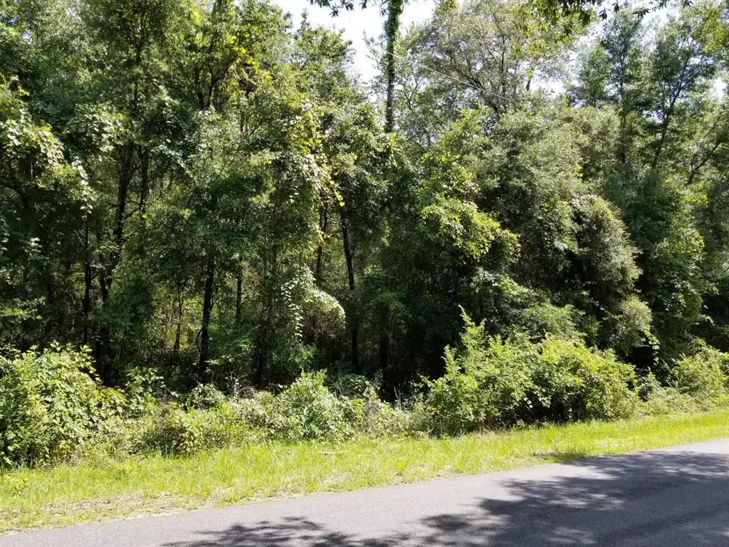 Dunnellon, FL 34431,0 SW 57th PL