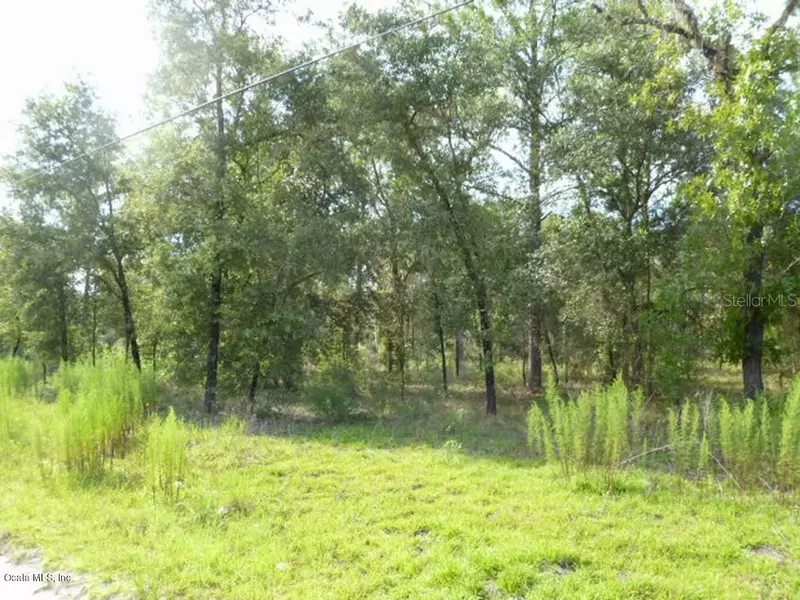 TBD SE 26 ST, Morriston, FL 32668