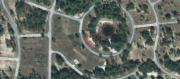 0 MALAUKA CIR LOT 10, Ocklawaha, FL 32179