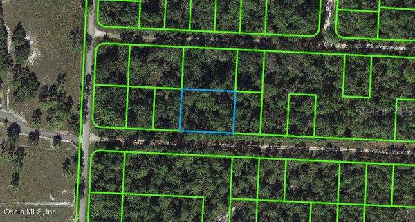 3253 Michele AVE, Lake Placid, FL 33852