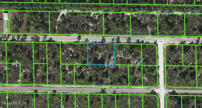 3340 Rhododendron RD, Lake Placid, FL 33852