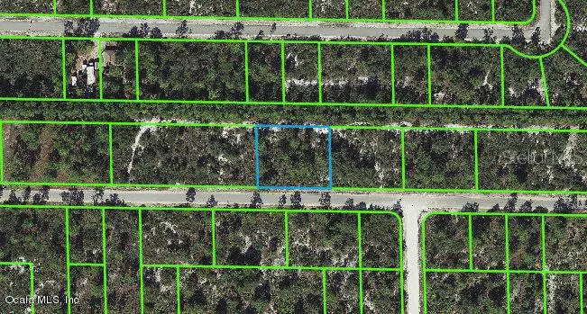 3337 Rhododendron RD, Lake Placid, FL 33852