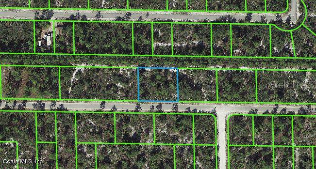 3337 Rhododendron RD, Lake Placid, FL 33852