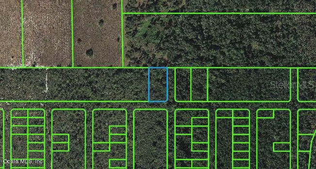 1512 Ponce De Leon ST, Lake Placid, FL 33852
