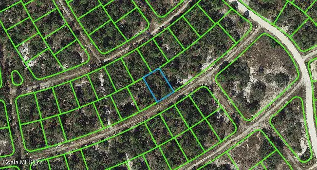 384 Showboat AVE, Lake Placid, FL 33852