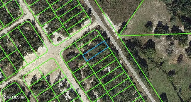 1021 Cr 29, Lake Placid, FL 33852
