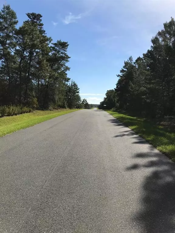 Ocala, FL 34476,0 SW 113 th PL