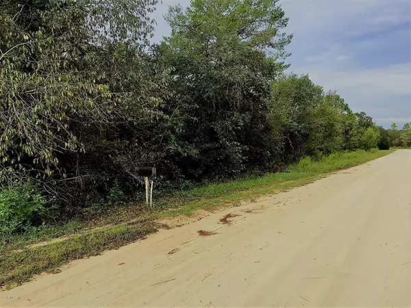 Ocala, FL 34481,LOT 4 SW 58 LN