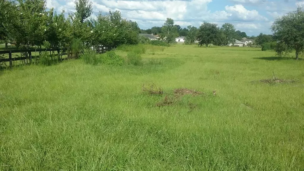 TBD SE 99th Place PL, Belleview, FL 34420