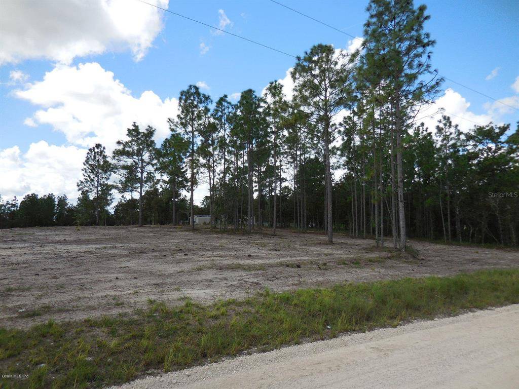 0 NE 5th and 4th ST, Williston, FL 32696