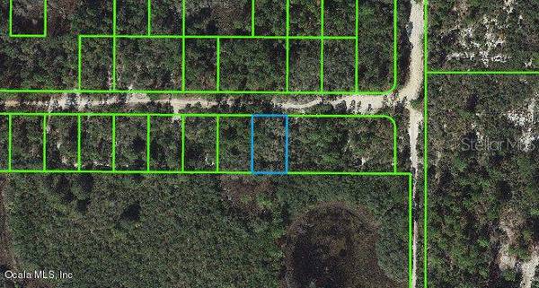 333 Claverton DR, Lake Placid, FL 33852