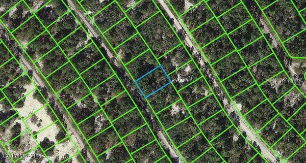 523 Dreamland DR, Lake Placid, FL 33852